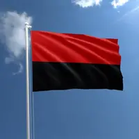 Флаг УПА 90*135 см
