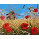 Картина по номерам "Новый урожай" ★★★★★