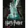 Картина по номерам с красками металлик "Harry Potter: Гарри и Волдеморт" 40х50см