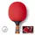 Ракетка для настольного тенниса Butterfly Timo Boll Comfort FL (6110170005)