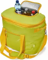 Термосумка  Crivit Cool Bag 35L жовта