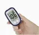 Глюкометр Blood Glucose Meter Model1 с тест-полосками и ланцетами ∙ Медицинский глюкометр Blood Glucose Meter Model1 для дома