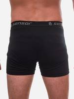 Термотруси чоловічі Sensor Merino Active SM21MA-black-L чорні