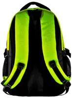 Міський рюкзак PASO 21L 16-8005Z салатовий