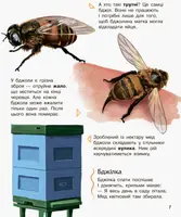 Дитяча енциклопедія для комах 614014 для дошкільнят