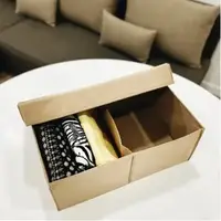 Кофр для вертикального зберігання одягу з розділом з кришкою 40*25*16 см (беж)