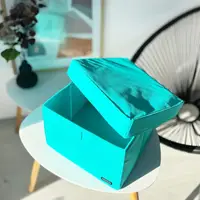 Бокс для зберігання речей L з кришкою - 30*30*20 см (блакить)