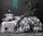 Комплект постельного белья с компаньоном R2243 TAG(evro)-748