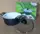 Кастрюля с керамическим покрытием Green Life GL-2222