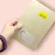 Деревянный вкладыш "Фрукты", 15х22,5 см