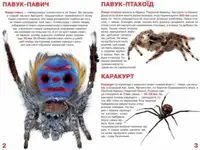 Книга "Велика книга. Павуки" (укр)