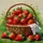 Алмазная мозаика Santi Сочная клубника 954887 40х40 см