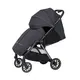 Коляска прогулочная Carrello Delta CRL-5517 (lava grey)