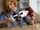 Конструктор LEGO Icons McLaren MP4/4 и Айртон Сенна 693 детали (10330)