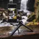 Штатив Vanguard TT1 Black Pearl (Vesta TT1 BP)