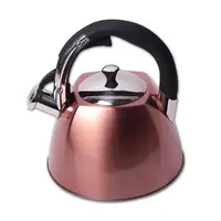 Чайник со свистком Kamille KM-0697 3 л бронзовый