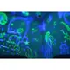 Вращающийся проектор DREAM голубой 3DTOYSLAMP