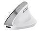 Мышь компьютерная безпроводная Trust Bayo 2 Ergonomic Wireless White 25398_TRUST белая