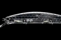 Воблер OSP Asura Varuna 110 SP 113mm 16.0g H09 (1.0-1.5m) (2659-00-23)