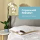 Подушка 50х70 см PRESENT IDEIA антиаллергенная с дышащим бортом