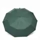 Зонт Monsen полный автомат CV1ZNT12-green