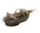 Годівниця Carp Pro Flat Classic Boilie M (100g)