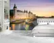 Фотообои текстурированные, виниловые Мосты, 250х380 см, fo01inV_ar10685