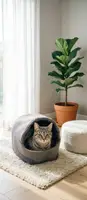 Будка для кошек Фокс №1 360х320х320 коричневая