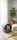 Будка для кошек Фокс №2 420х370х370