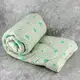 Одеяло закрытое холлофайбер ALOE VERA (Микрофибра) Двуспальное Евро 200х220 55075