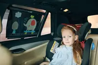 Шторка сонцезахисна в автомобіль FreeON 2 в 1, black elephant
