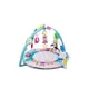 Игровой коврик 4 в 1 Activity Gym and Ball Pit, погремушки, набор пластиковых шариков 30 шт. Multicolor (135262)
