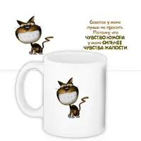 Кружка с принтом Чувство юмора у меня сильнее чувства жалости 330 мл KR_NASR009