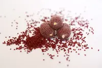 ПВА сітка для рибалка, сітка ПВА, ПВА матеріали, ПВА сітка для холодної води, 25мм розмотування 10 м Fishing Drive