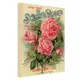Картина на холсте Scott`s Roses 45х65 см (H4565_RET021)