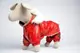 Костюм с капюшоном 601010 Zoobaza - красный, 25х40