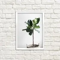 Постер в рамке Вазон 15x21 см, A5 (WMT5_ART050_WH)