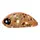 HAT44LBF-505 Воблер LJ Pro Series Haira Tiny Plus One 44LBF
