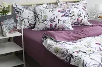 Комплект постельного белья с компаньоном (1,5-сп.) PT-030 PT (1,5-sp)-030
