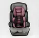 Автокресло JOY 9-36 кг Grey/Pink (36800)