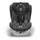 Автокресло Lionelo Bastiaan 0-36 kg Grey