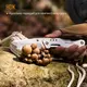 Нож-ножницы Roxon KS S501