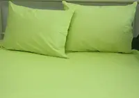 Простынь на резинке (180х200х20) Sunny Lime TAG prostrez2-163