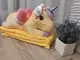 Игрушка-подушка с пледом внутри 3 в 1 желтый Единорог