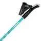 Палки для скандинавской ходьбы Gabel Ritmo Teal (7008350750000)