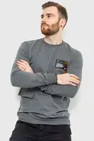 Свитшот мужской демисезонный цвет серый 208R0246