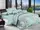 Комплект постельного белья BR-4109 TAG polycotton 2-sp-692