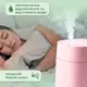 Увлажнитель воздуха Humidifier USB 200ml мини увлажнитель воздуха Розовый