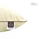 Подушка CLASSICA SOFT 2D TM SEI DESIGN двухкамерная 50*70 cm молоко