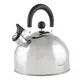 Чайник со свистком Holmer Euphoria WK-4330-BSSS 3 л серый
